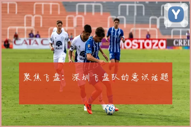 聚焦飞盘：深圳飞盘队的意识话题