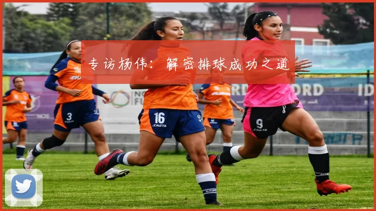 专访杨伟：解密排球成功之道