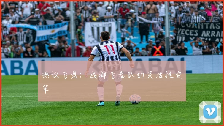 热议飞盘：成都飞盘队的灵活性变革