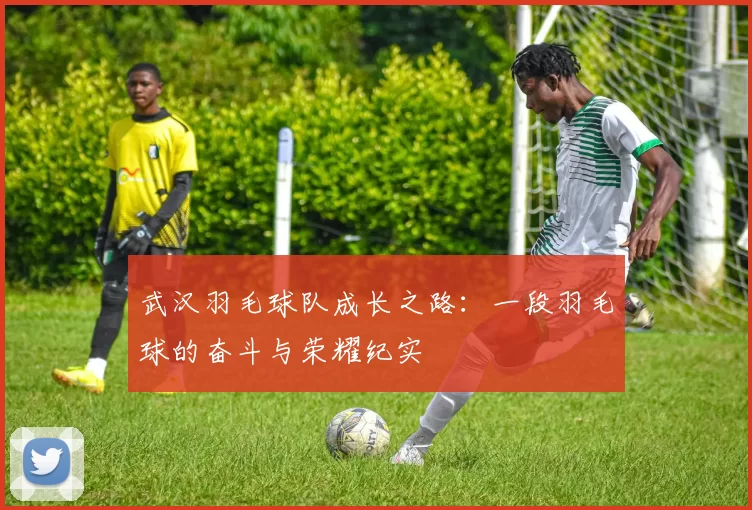 武汉羽毛球队成长之路：一段羽毛球的奋斗与荣耀纪实